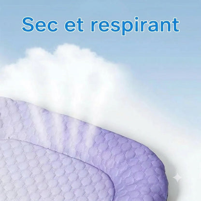 Tapis rafraîchissant en soie glacée pour chien et chat