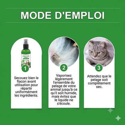 Spray anti-puces et anti-tiques naturel pour chiens et chats