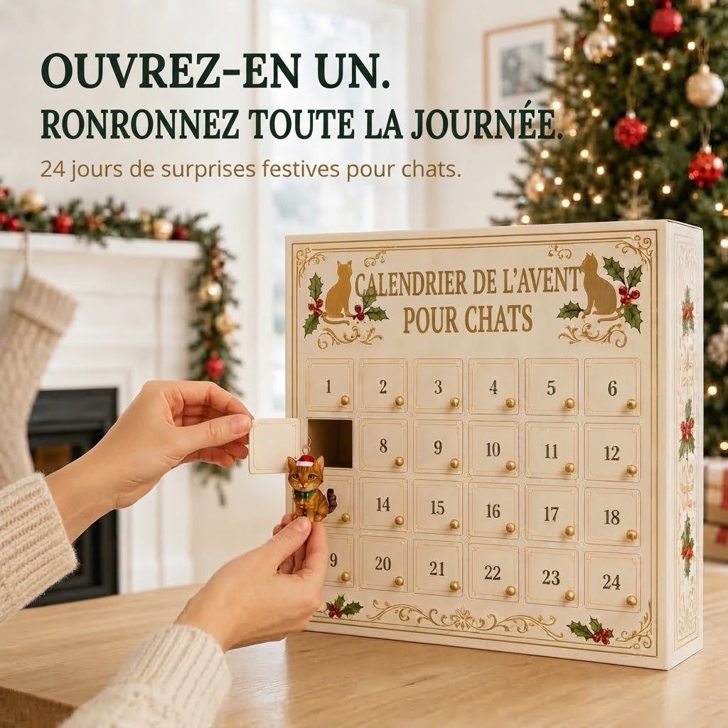 Calendrier de l’Avent 3D avec chats et boîtes surprises