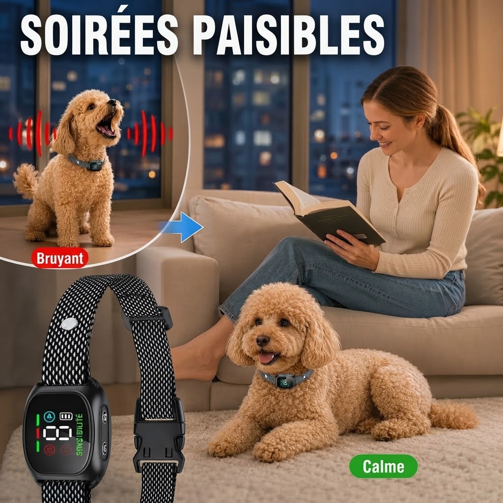 Collier anti-aboiement intelligent pour chiens