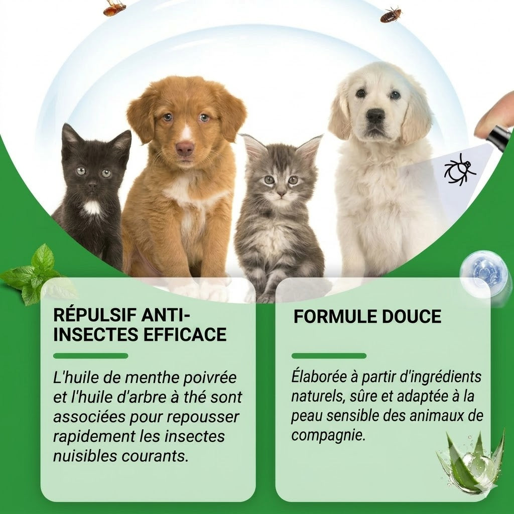 Spray anti-puces et anti-tiques naturel pour chiens et chats