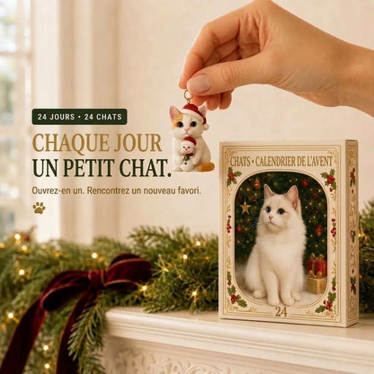 Calendrier de l’Avent 3D avec chats et boîtes surprises