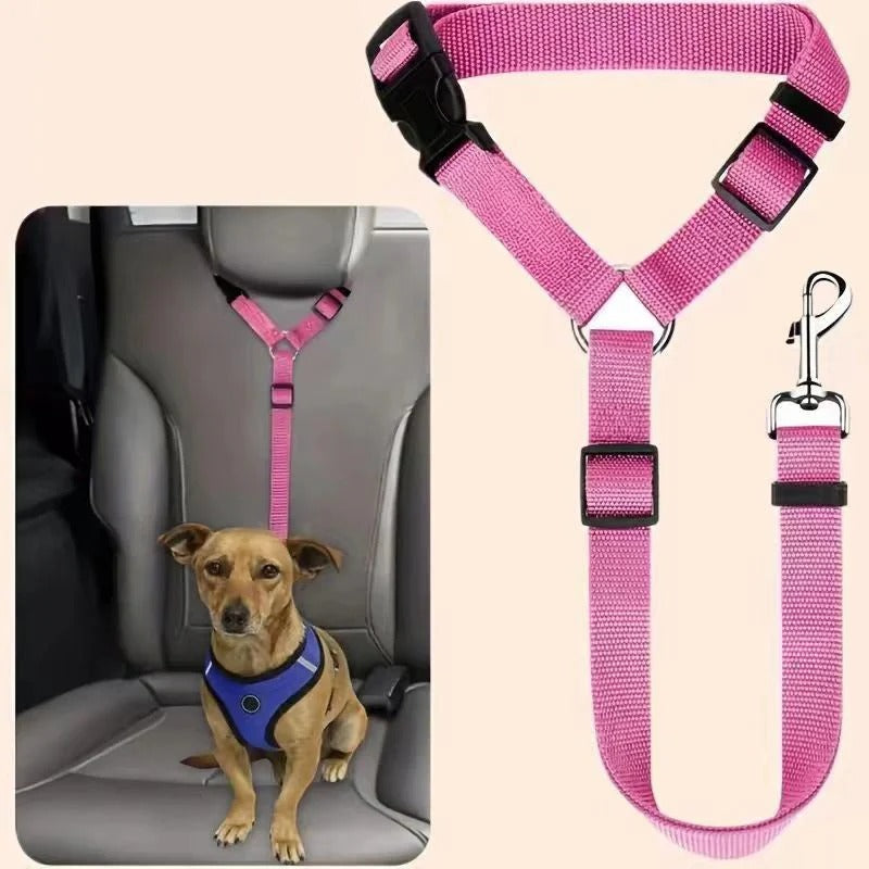 Ceinture de sécurité et laisse pour chien 2-en-1