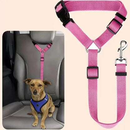 Ceinture de sécurité et laisse pour chien 2-en-1