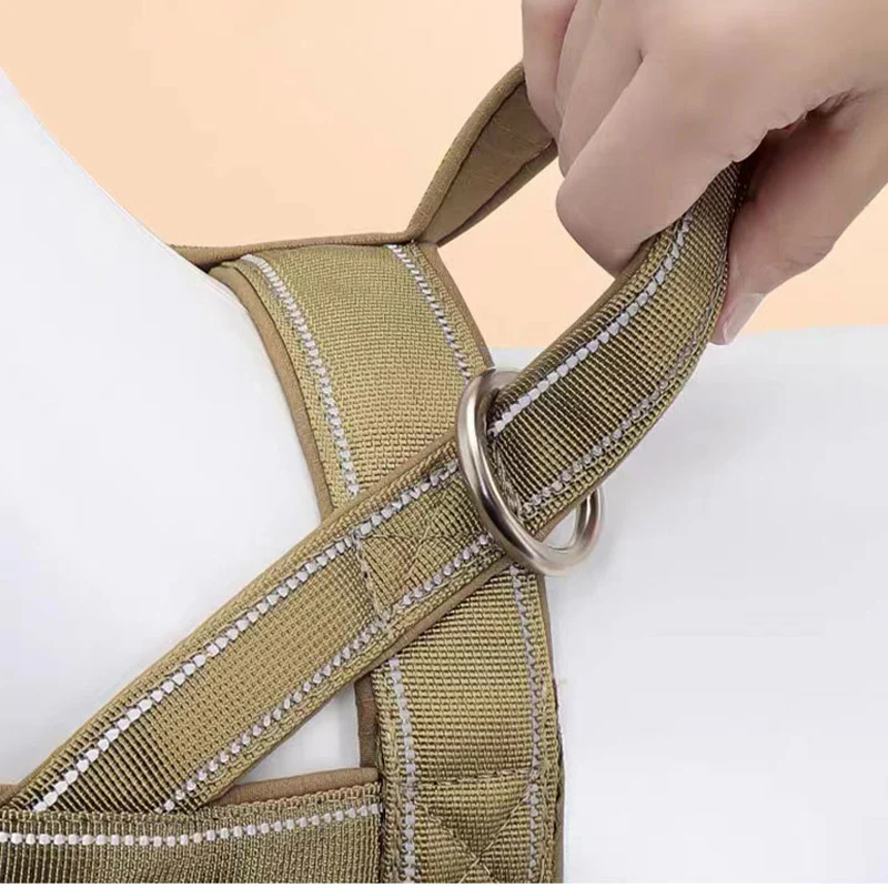 Harnais tactique robuste pour chien avec poignée