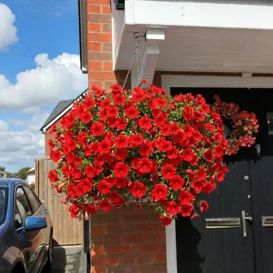 Bouquet de pétunias artificiels résistant aux UV