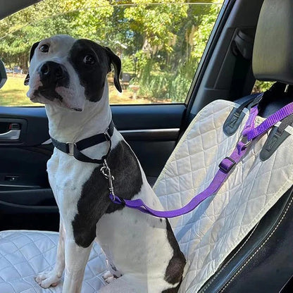 Ceinture de sécurité et laisse pour chien 2-en-1