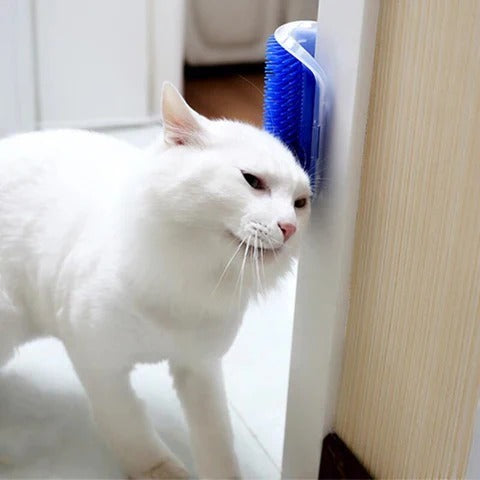 Brosse de massage auto-nettoyante pour coin de mur pour chat