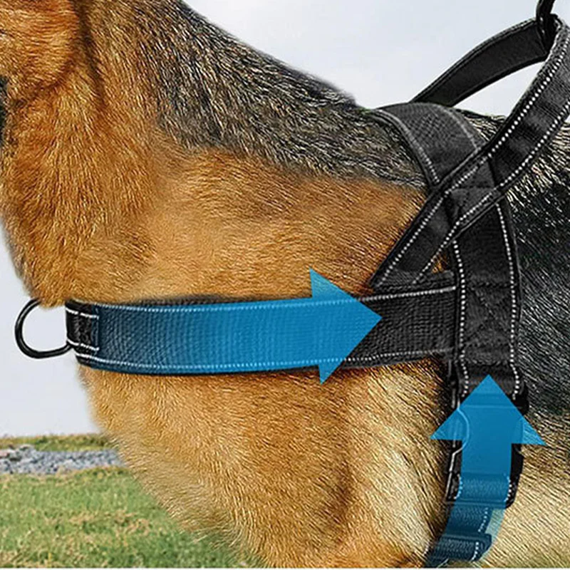 Harnais tactique robuste pour chien avec poignée