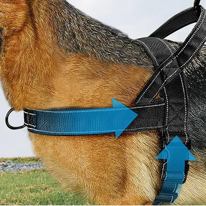 Harnais tactique robuste pour chien avec poignée