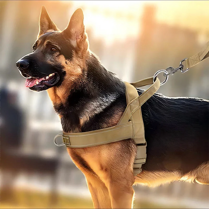 Harnais tactique robuste pour chien avec poignée