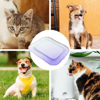 Tapis rafraîchissant en soie glacée pour chien et chat