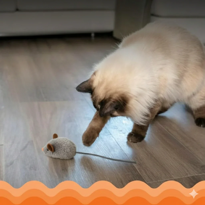 Jouet interactif en peluche réaliste pour chat