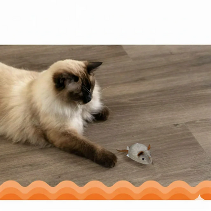 Jouet interactif en peluche réaliste pour chat