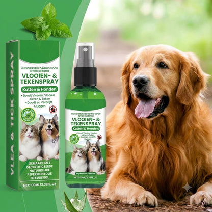 Spray anti-puces et anti-tiques naturel pour chiens et chats