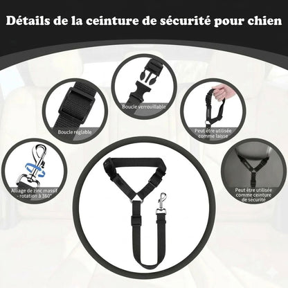 Ceinture de sécurité et laisse pour chien 2-en-1