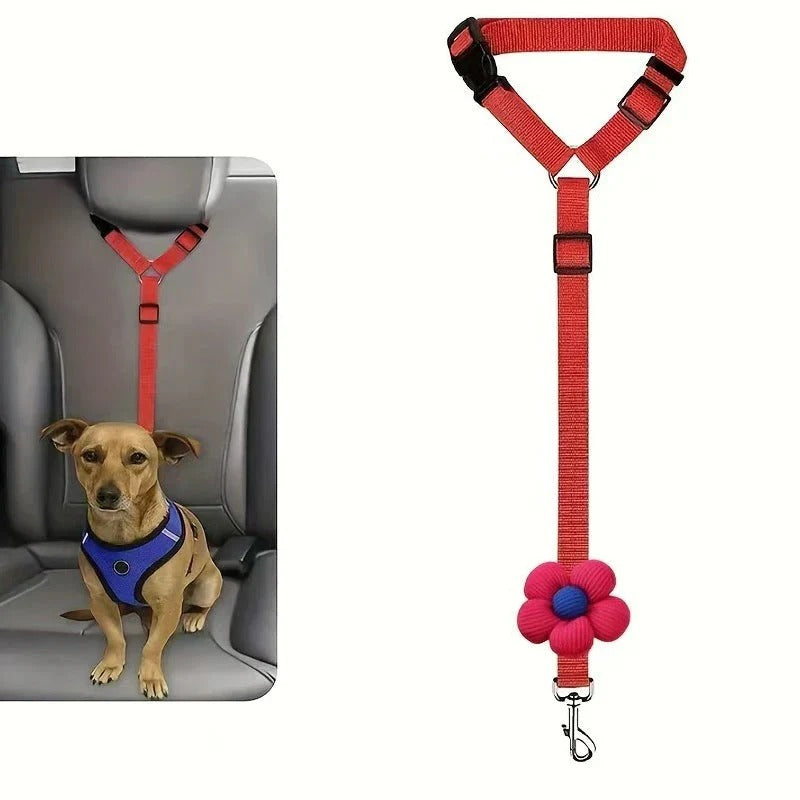 Ceinture de sécurité et laisse pour chien 2-en-1