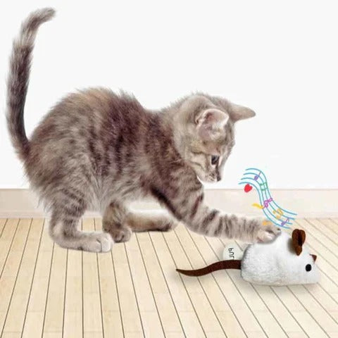 Jouet interactif en peluche réaliste pour chat
