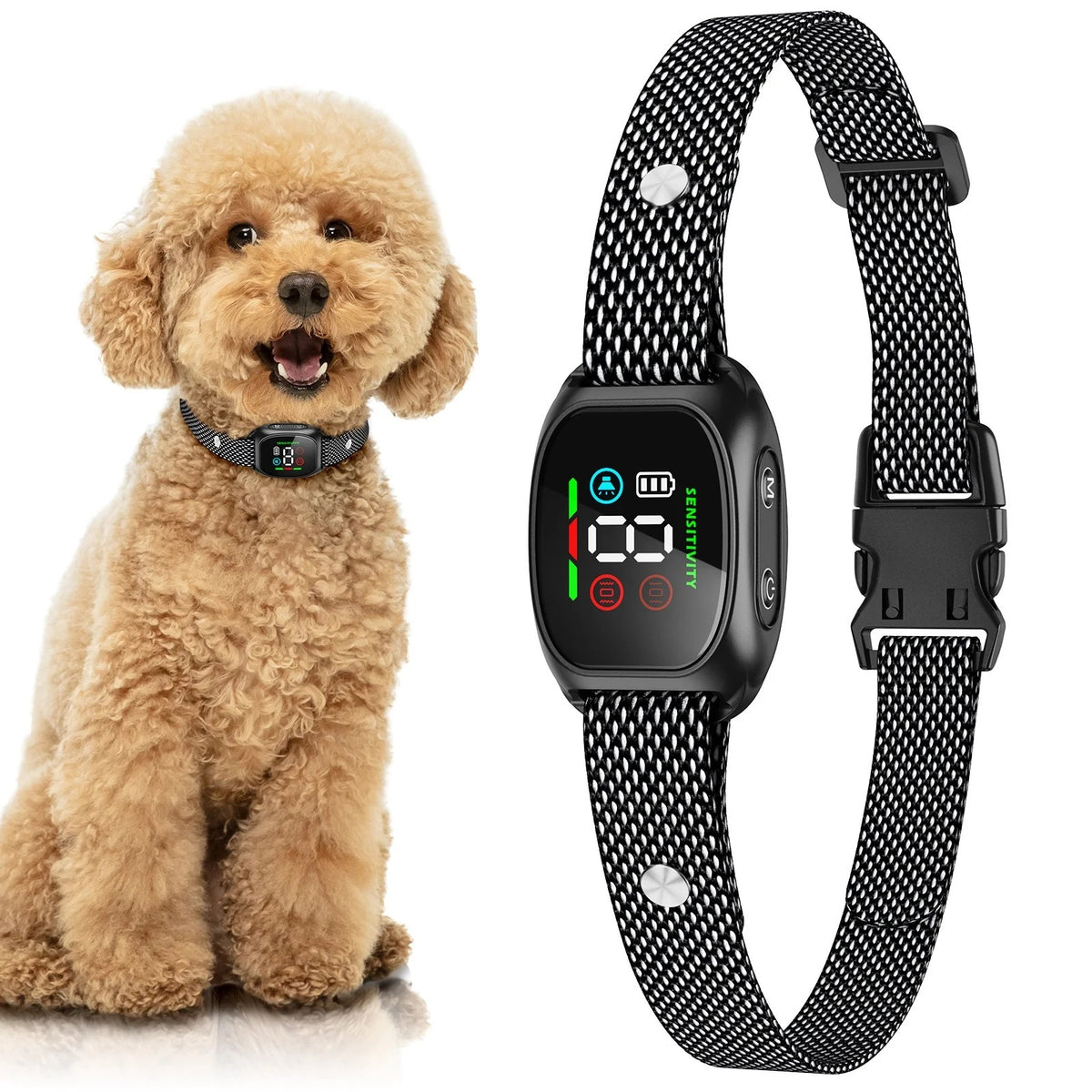 Collier anti-aboiement intelligent pour chiens