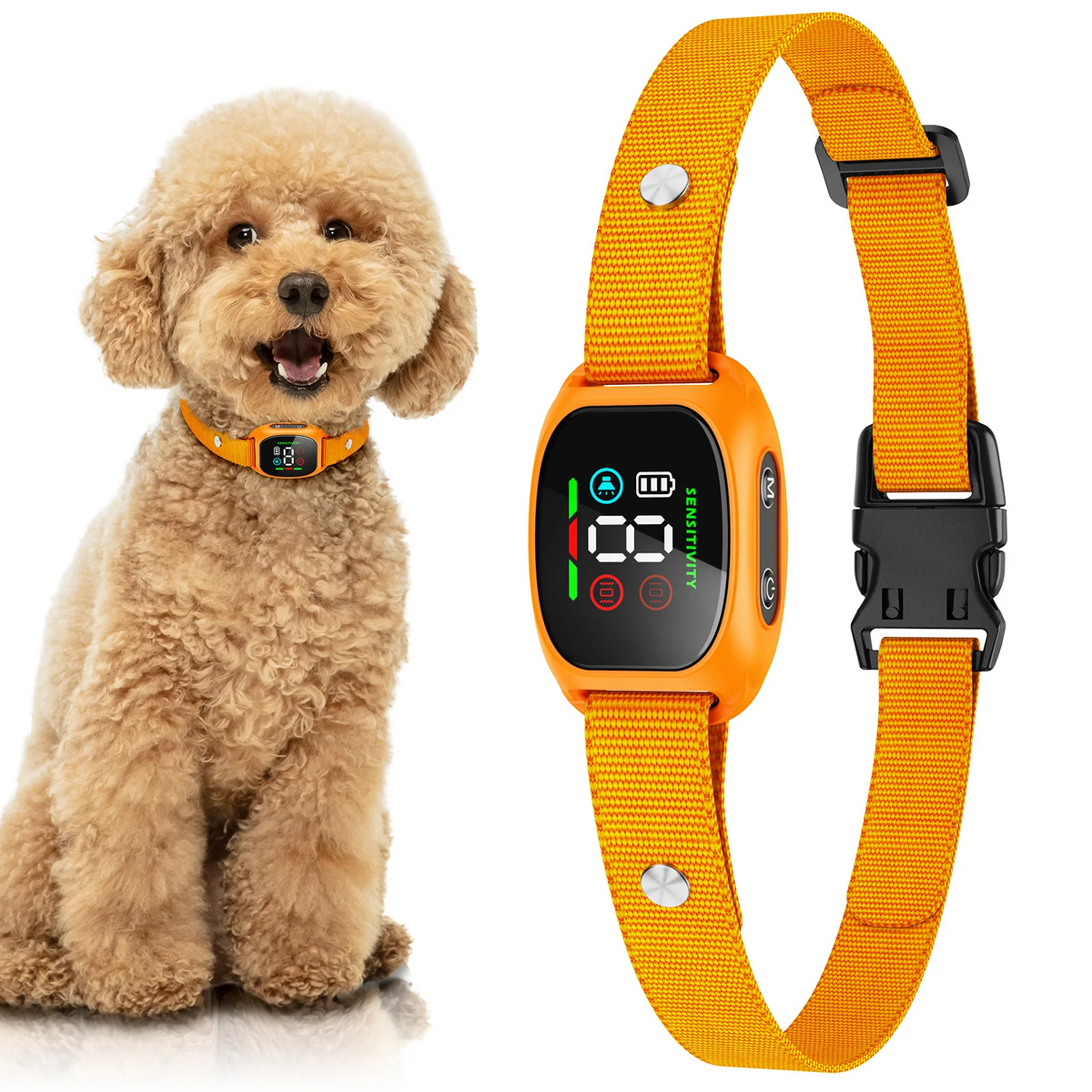 Collier anti-aboiement intelligent pour chiens