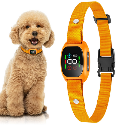 Collier anti-aboiement intelligent pour chiens