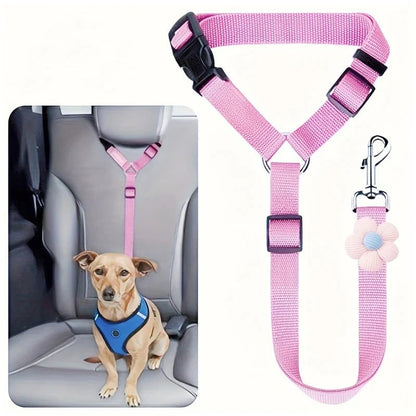 Ceinture de sécurité et laisse pour chien 2-en-1