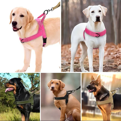 Harnais tactique robuste pour chien avec poignée