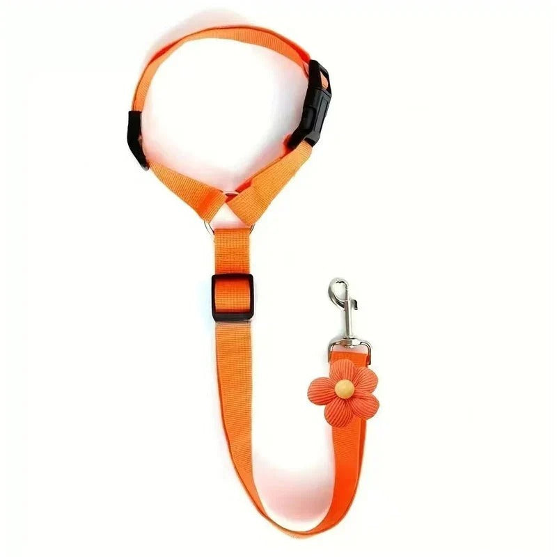 Ceinture de sécurité et laisse pour chien 2-en-1