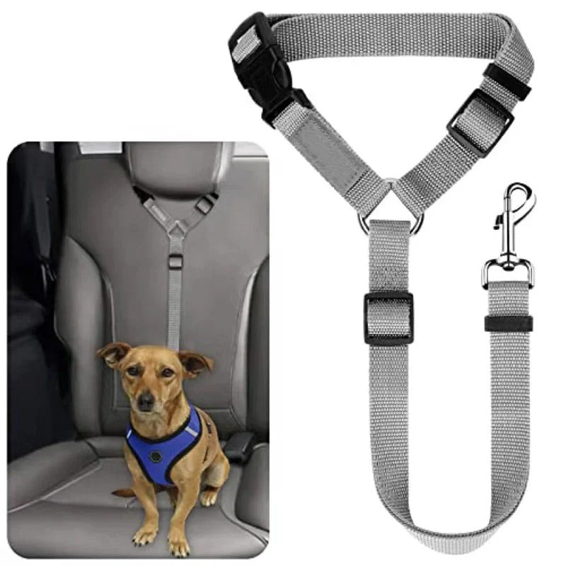 Ceinture de sécurité et laisse pour chien 2-en-1