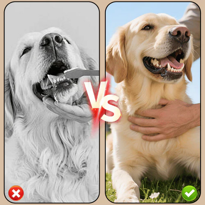 Spray anti-tartre pour chiens & chats